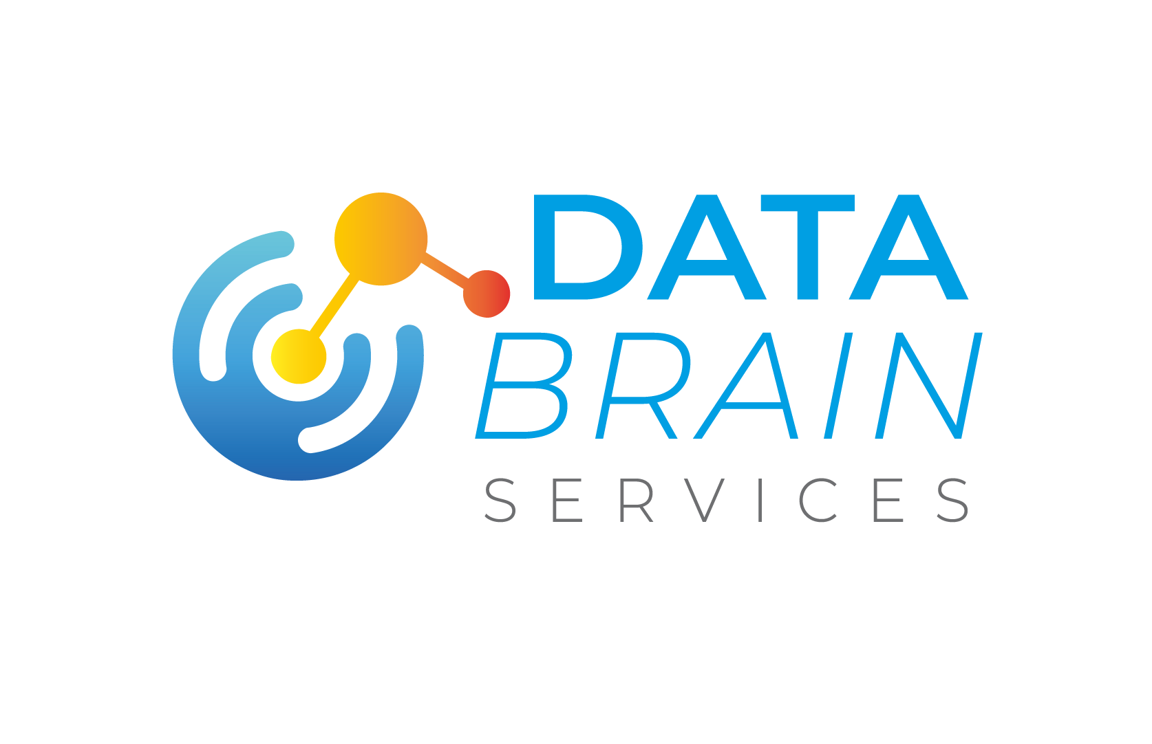 Data Brain Services